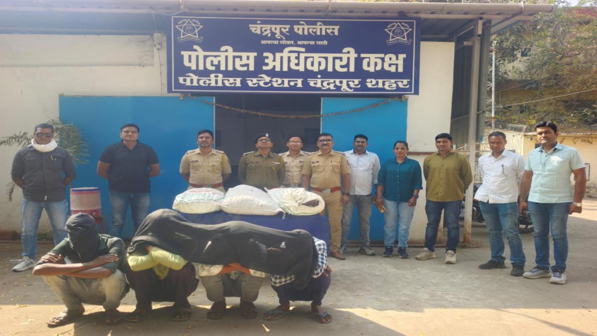 Chandrapur Cable Theft Case: Police Big Action, Accused Arrested