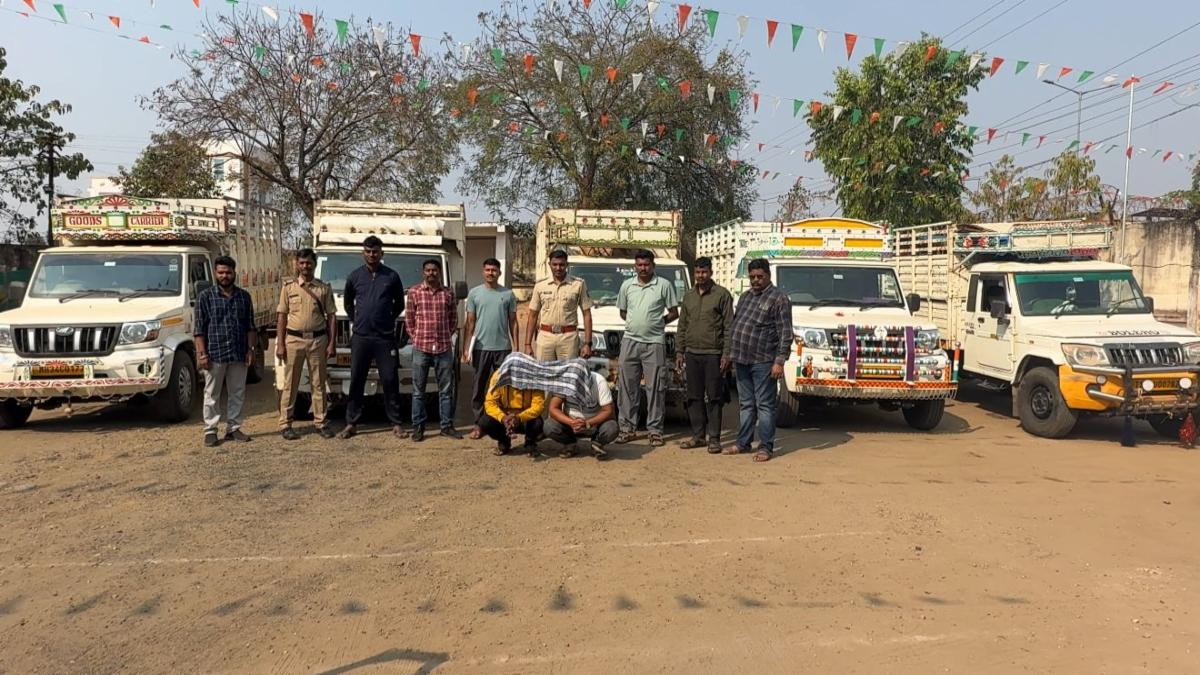 गोंडपिंपरी पुलिस की बड़ी कार्रवाई: 5 पिकअप वाहन जब्त, 46 गोवंशीय पशुओं को बचाया, 50 लाख से अधिक का माल बरामद